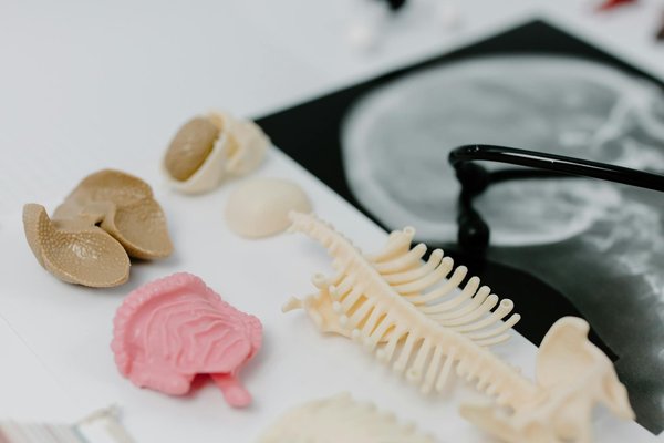 Comment faire grossir les seins naturellement et efficacement